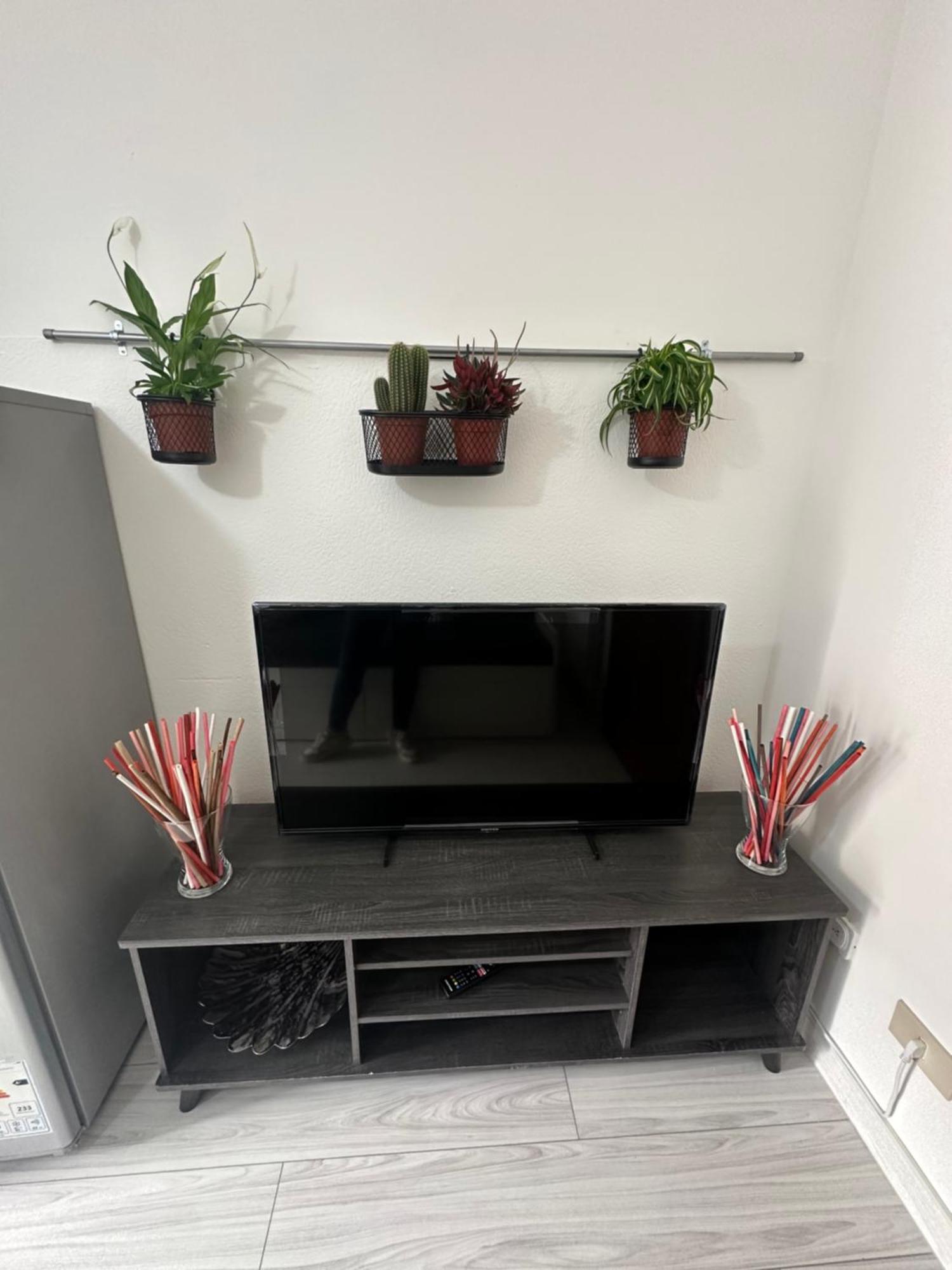 B&B Luna Rosa Pisa Kültér fotó